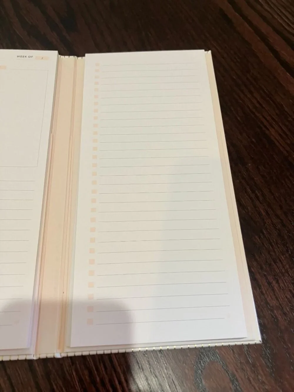 Erin Condren Focused Edition Padfolio, Vegan Leather, Pinstripe, New